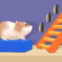 Hamster Stack Maze 3 hamster stack maze